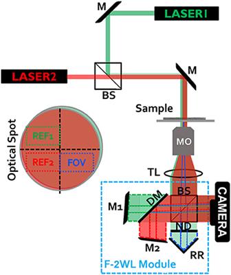 Flipping Interferometric Module for Simultaneous Dual-Wavelength <mark class="highlighted">Unwrapping</mark> of Quantitative Phase Maps of Biological Cells